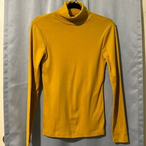 J Crew turtle neck top